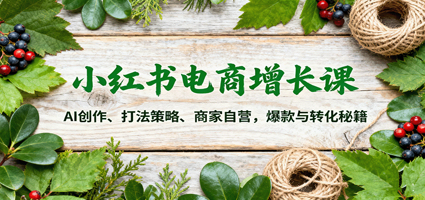 小红书电商增长课：AI创作、打法策略、商家自营，爆款与转化秘籍-佳佳云创网