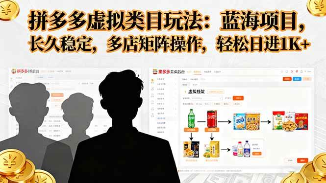 （16236期）拼多多虚拟类目玩法，蓝海项目，长久稳定，多店矩阵操作，轻松日进1K+-佳佳云创网