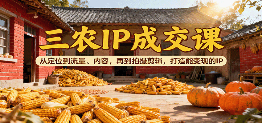 三农IP成交课：从定位到流量、内容，再到拍摄剪辑，打造能变现的IP-佳佳云创网