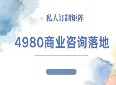 4980商业咨询师落地课程-ip运营高客单教程-佳佳云创网