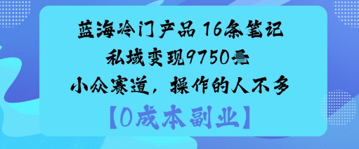 蓝海冷门产品：16条笔记私域变现9750米小众赛道，操作的人不多-佳佳云创网