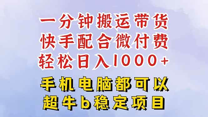 （16285期）快手黑科技一分钟搬运带货，一刀不剪过原创，微付费投流玩法，轻松日入…-佳佳云创网