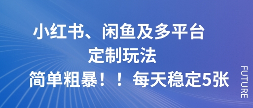 小红书、闲鱼及多平台定制玩法简单粗暴！每天稳定5张-佳佳云创网