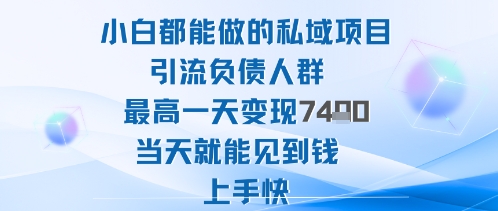 2025年小白都能做的私域项目引流负债人群最高一天变现1k+高变现难度低当天就能见到钱上手快-佳佳云创网