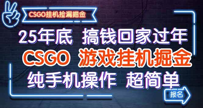（16343期）25年底搞钱回家过年，CSGO游戏挂机掘金，纯手机操作超简单-佳佳云创网