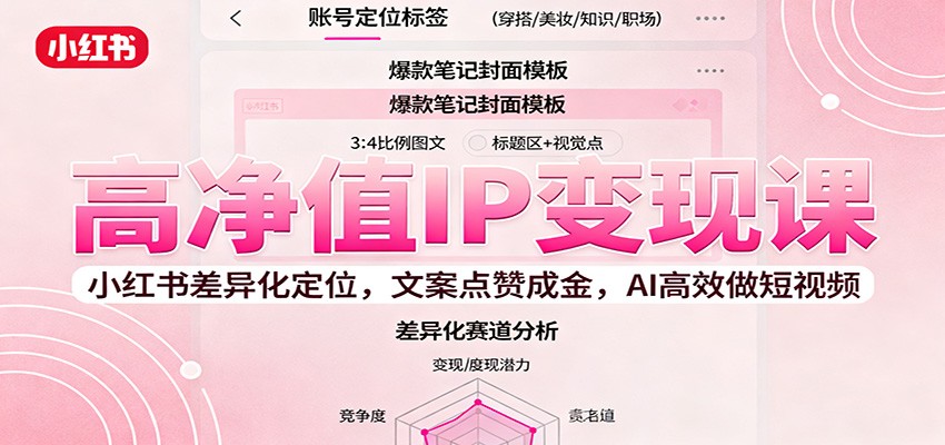 高净值IP变现课：小红书差异化定位，文案点赞成金， AI高效做短视频-佳佳云创网