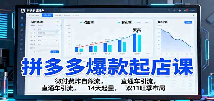 拼多多爆款起店课：微付费炸自然流，直通车引流，14天起量，双11旺季布局-佳佳云创网