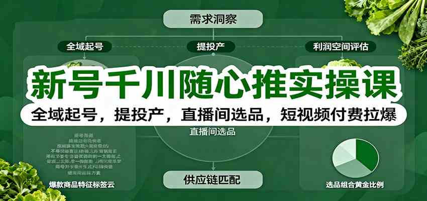 新号千川随心推实操课：全域起号，提投产，直播间选品，短视频付费拉爆-佳佳云创网