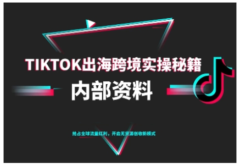 TikTok跨境电商0-1搭建运营，TK出海跨境实操秘籍（10月更新）-佳佳云创网