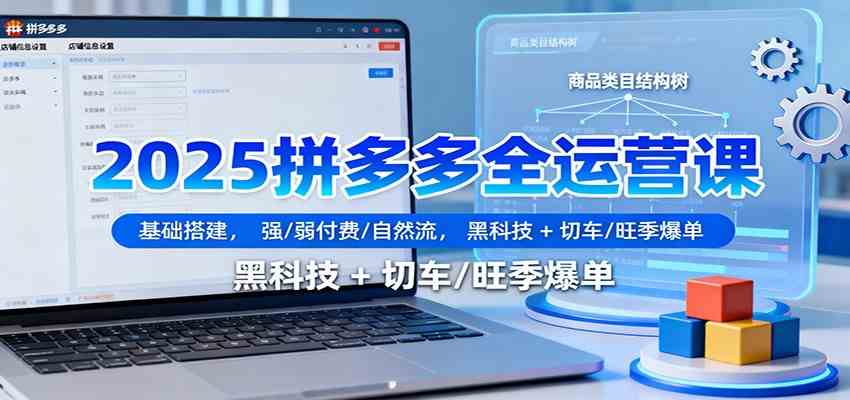 2025拼多多全运营课：基础搭建，强/弱付费/自然流，黑科技 + 切车/旺季爆单-佳佳云创网