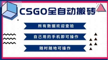 CSGO全自动搬砖，年底钱回家好项目，当天可拿到结果，新手小白轻松月入1W+【揭秘】-佳佳云创网