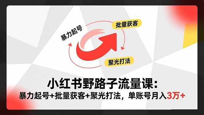 （16513期）小红书野路子流量课：暴力起号+批量获客+聚光打法，单账号月入3万+-佳佳云创网