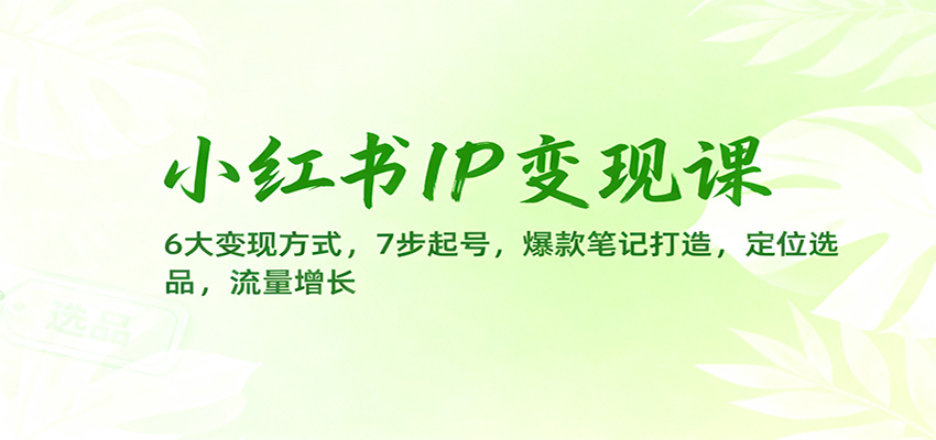 小红书IP变现课：6大变现方式，7步起号，爆款笔记打造，定位选品，流量增长-佳佳云创网