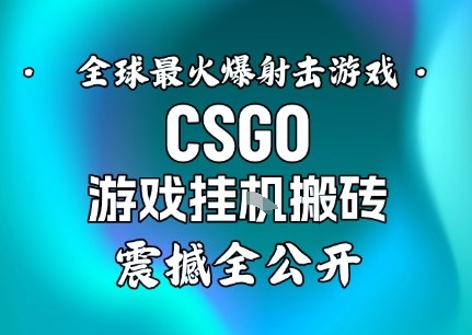 【年底大揭秘】基于全球最火爆的射击CSGO游戏挂G搬砖，日入5张+，震撼公开-佳佳云创网