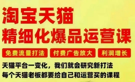 淘宝天猫精细化爆品运营课，免费流量打法-付费广告放大-利润增长-三大核心痛点，一次全部解决-佳佳云创网