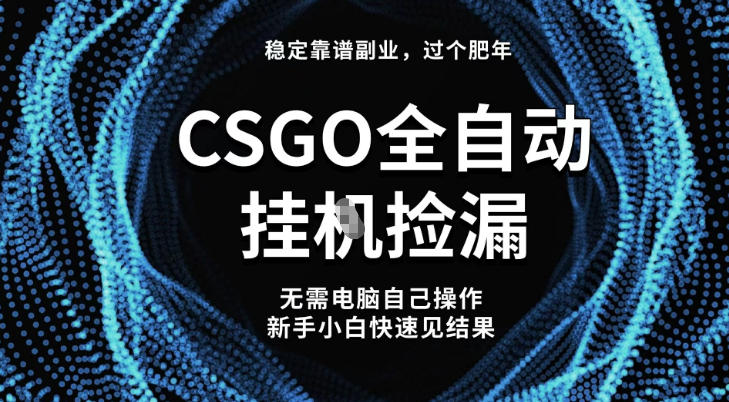【稳定副业】全球最热门游戏CSGO全自动捡漏，最新玩法，新手小白日入5张+【揭秘】-佳佳云创网