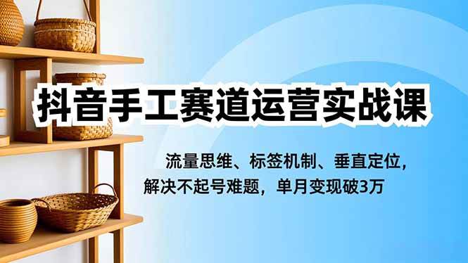 （16667期）抖音手工赛道运营实战课，流量思维、标签机制、垂直定位，解决不起号难题，单月变现破3万-佳佳云创网