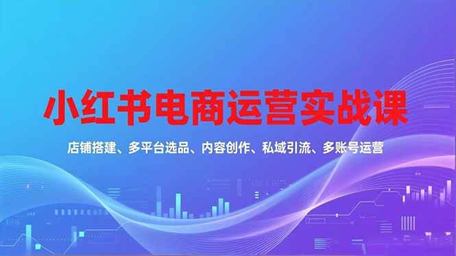 （16695期）小红书电商运营实战课，店铺搭建、多平台选品、内容创作、私域引流、多账号运营等玩法-佳佳云创网