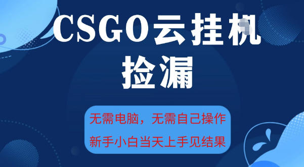 CSGO云挂G全自动捡漏，最新独家玩法，无需电脑操作，新手小白日入5张+【揭秘】-佳佳云创网