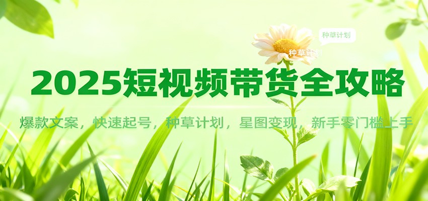2025短视频带货全攻略：爆款文案，快速起号，种草计划，星图变现，新手零门槛上手-佳佳云创网
