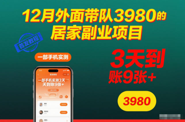 12月外面带队3980的居家副业项目，一部手机实测3天到账9张+，首发教程【揭秘】-佳佳云创网