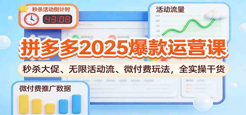 拼多多2025爆款运营课：秒杀大促、无限活动流、微付费玩法，全实操干货-佳佳云创网