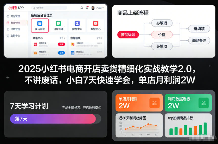 2025小红书电商开店卖货精细化实战教学2.0，不讲废话，小白7天快速学会，单店月利润2W-佳佳云创网