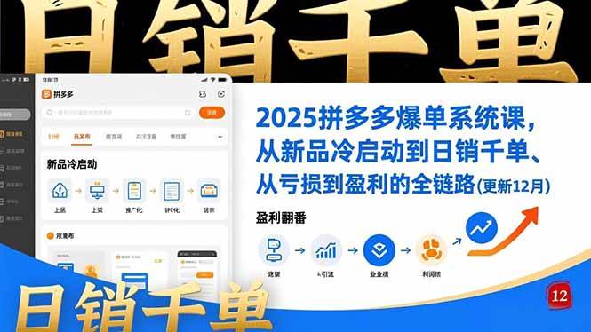 （16894期）2025拼多多爆单系统课，从新品冷启动到日销千单、从亏损到盈利的全链路（更新12月）-佳佳云创网