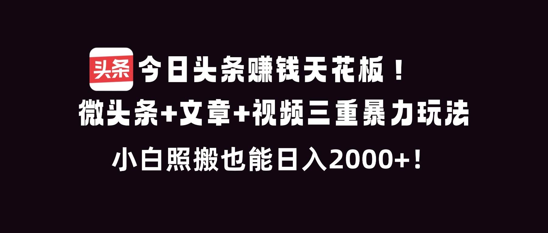 （16888期）今日头条赚钱天花板！微头条+文章+视频三重暴利玩法，小白照搬也能日人2000+-佳佳云创网