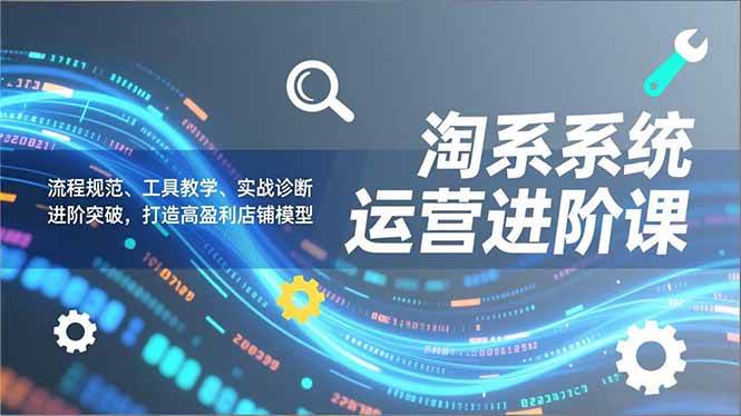 （16927期）淘系系统运营进阶课2.0，流程规范、工具教学、实战诊断，进阶突破，打造高盈利店铺模型-佳佳云创网