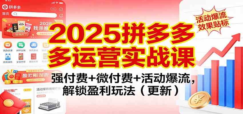 2025拼多多运营实战课：强付费+微付费+活动爆流，解锁盈利玩法（更新）-佳佳云创网