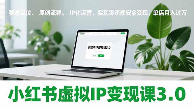 （17029期）小红书虚拟IP变现课3.0，赛道定位、原创流程、IP化运营，实现零违规安全变现，单店月入过万-佳佳云创网