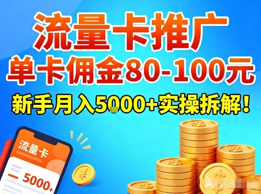 流量卡推广，单卡佣金80-100，新手月入5k+实操拆解！-佳佳云创网