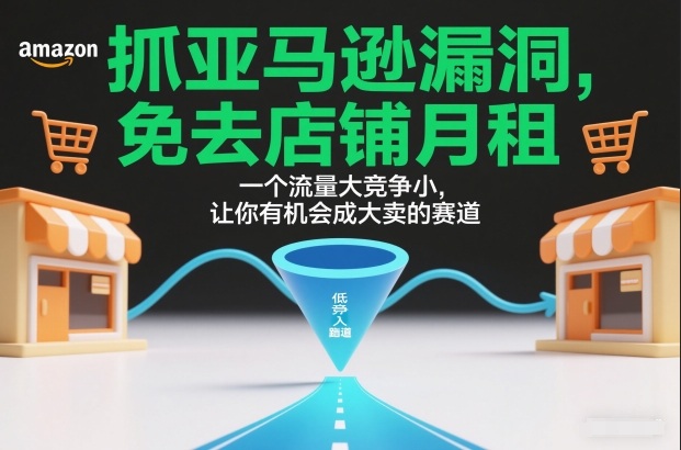 抓亚马逊漏洞，免去店铺月租，一个流量大竞争小，让你有机会成大卖的赛道-佳佳云创网