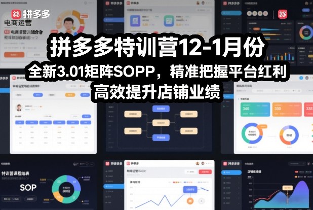 拼多多特训营12-1月份，全新3.01矩阵Sop，精准把握平台红利，高效提升店铺业绩-佳佳云创网
