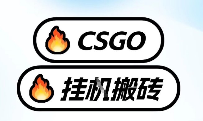 真全网独家CSGO挂G，最新玩法,单日捡漏1K+，不用电脑，不用打游戏【揭秘】-佳佳云创网