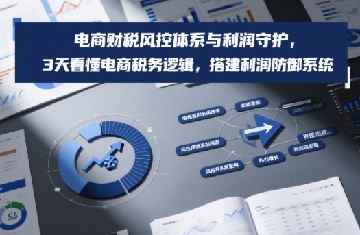 电商财税风控体系与利润守护，3天看懂电商税务逻辑，搭建利润防御系统-佳佳云创网