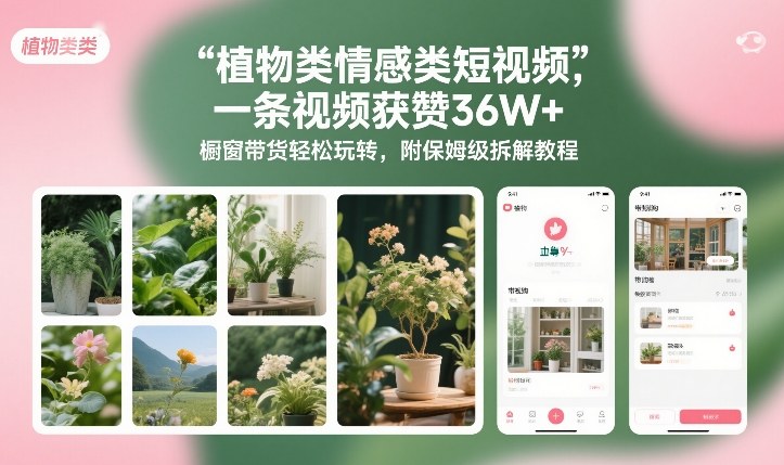植物类情感类短视频，一条视频获赞36W+，橱窗带货轻松玩转，附保姆级拆解教程-佳佳云创网