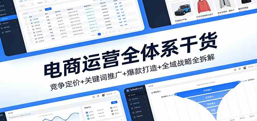 电商运营全体系干货，竞争定价+关键词推广+爆款打造+全域战略全拆解-佳佳云创网