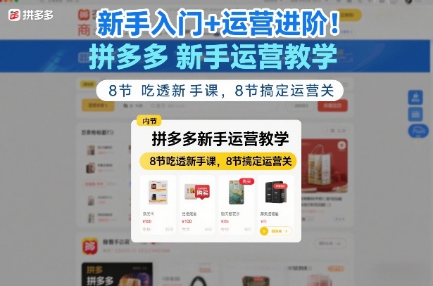 新手入门+运营进阶！拼多多新手运营教学，8节吃透新手课，8节搞定运营关-佳佳云创网