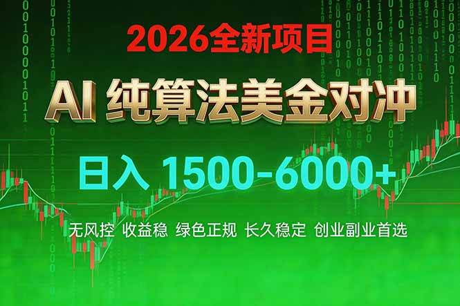 （17466期）2026 全新美金对冲项目，不套平台赠金，不封号，纯算法对冲，日入 1500-6000+-佳佳云创网