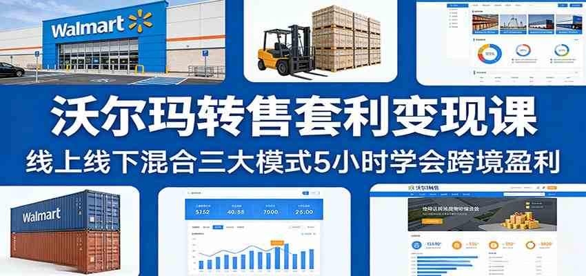 沃尔玛转售套利变现课：线上线下混合三大模式5小时学会跨境盈利-佳佳云创网