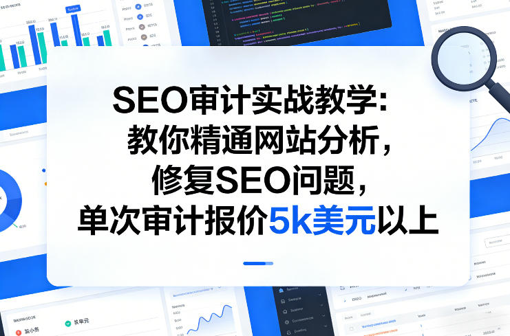 SEO审计实战教学：教你精通网站分析，修复SEO问题，单次审计报价5k美元以上-佳佳云创网