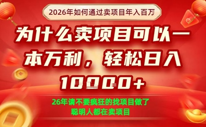 一单净利润1K+，26年想年入100个W，死磕卖项目就够了【揭秘】-佳佳云创网