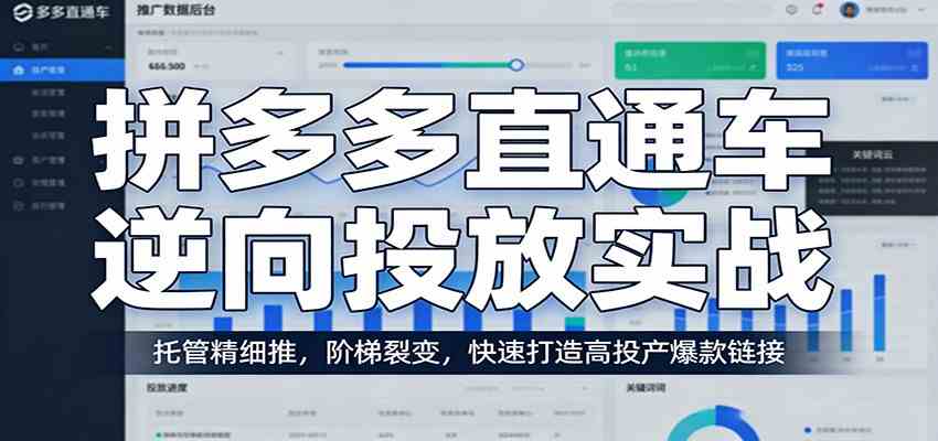 拼多多直通车逆向投放实战：托管精细推，阶梯裂变，快速打造高投产爆款链接-佳佳云创网