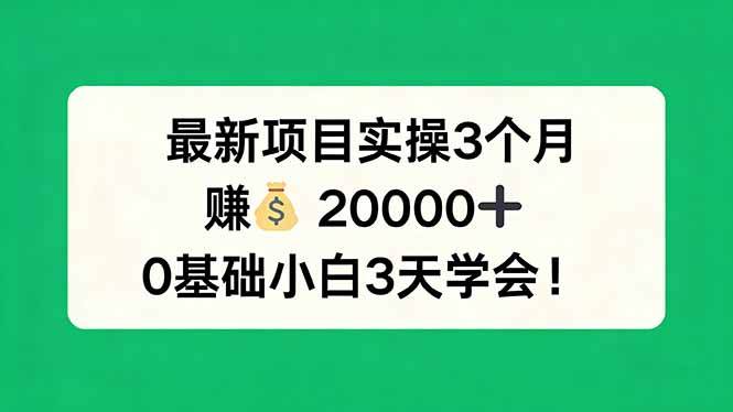 （17856期）最新项目实操3个月，赚钱20000+，0基础小白3天学会！-佳佳云创网