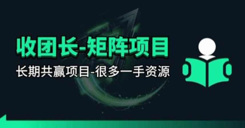 【团长合作】视频矩阵项目_招发手矩阵+剪辑师，共赢项目【揭秘】-佳佳云创网