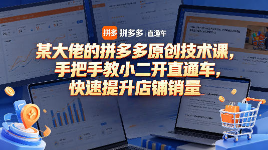 某大佬的拼多多原创技术课，手把手教小二开直通车，快速提升店铺销量-佳佳云创网