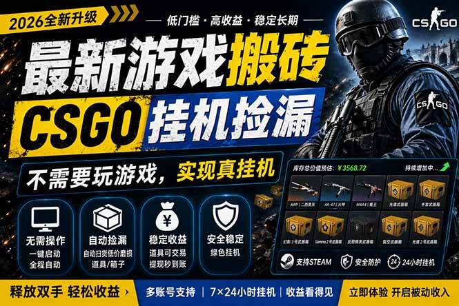 （18182期）最新游戏搬砖，CSGO纯挂机，不需要玩游戏，实现真挂机，月入1W+，五一小高峰上车可吃肉，…-佳佳云创网