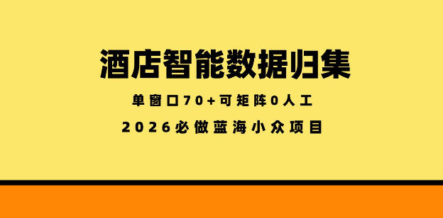 酒店智能数据归集，小众蓝海已经稳定半年之久，单窗口70+零成本矩阵开干【揭秘】-佳佳云创网